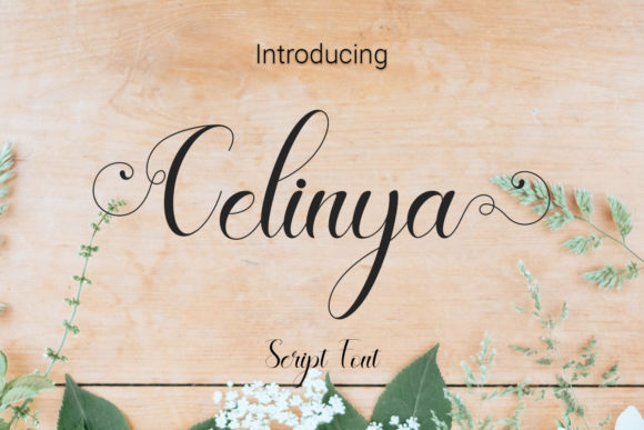 Celinya: A Script Font for High-Impact Campaigns