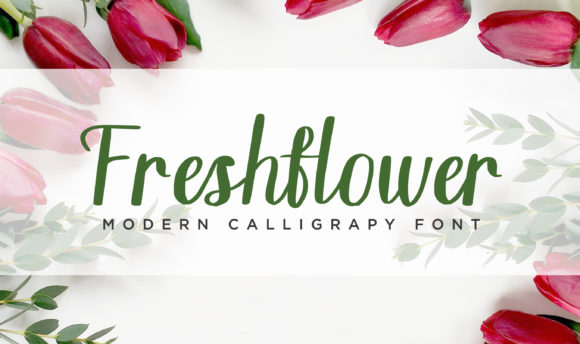 Freshflower: A Designer’s Honest Review for Branding
