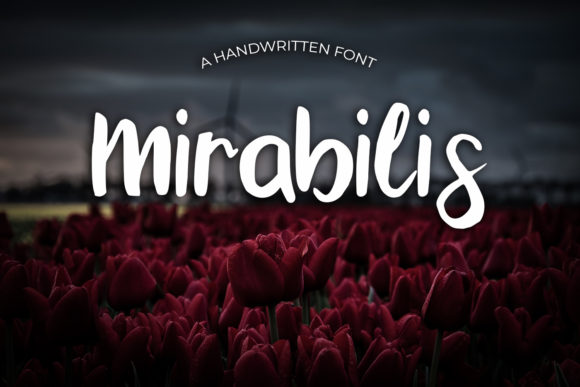 Mirabilis Font: A Gentle Script for Editorial Design