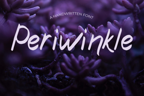 Periwinkle Font: Elevating Web Design with Natural Script