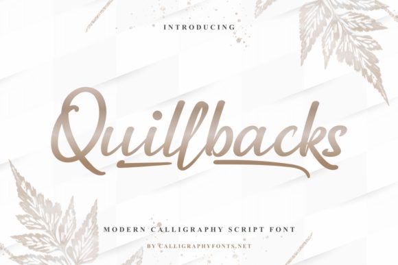 Quillbacks: A Designer’s Review for Real Branding